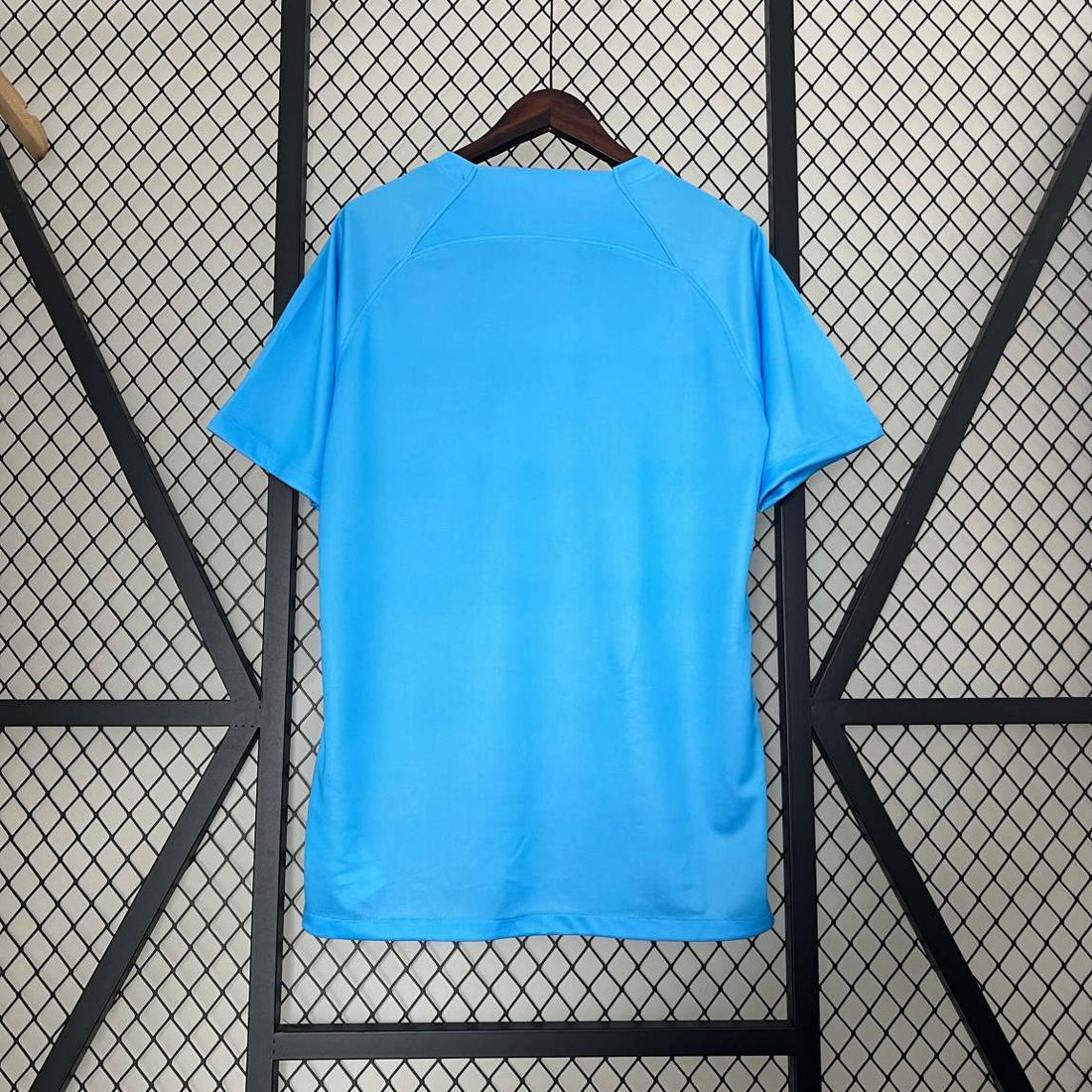 Nederland Blauwe Leeuw Jersey