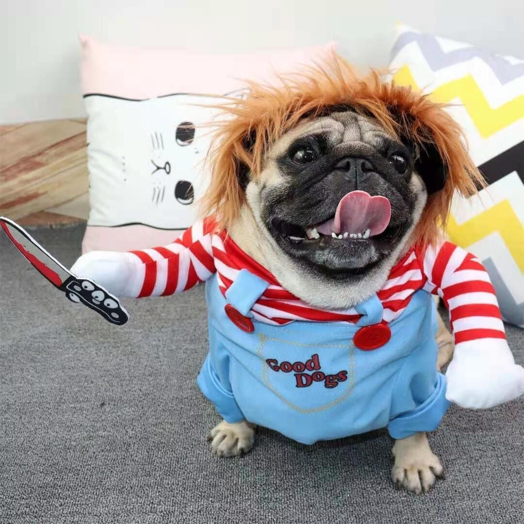 Chucky Kostuum voor Honden™ - Vier hallowewen met je hond!